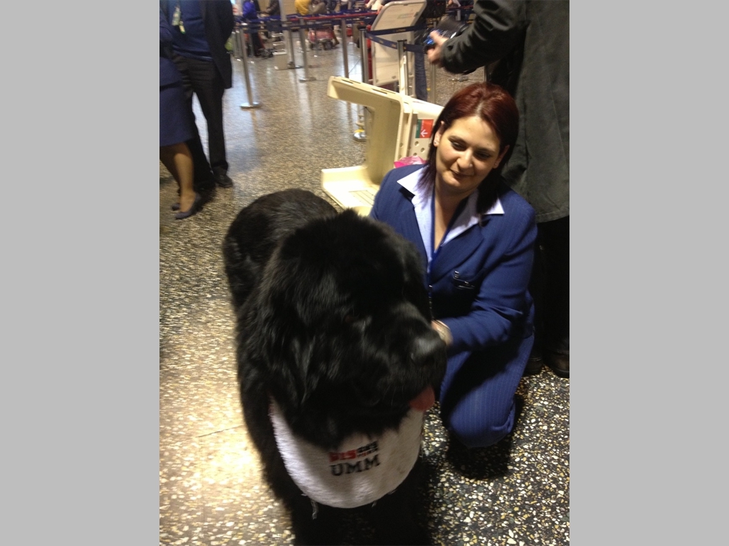 Attendant friend at Milan airport