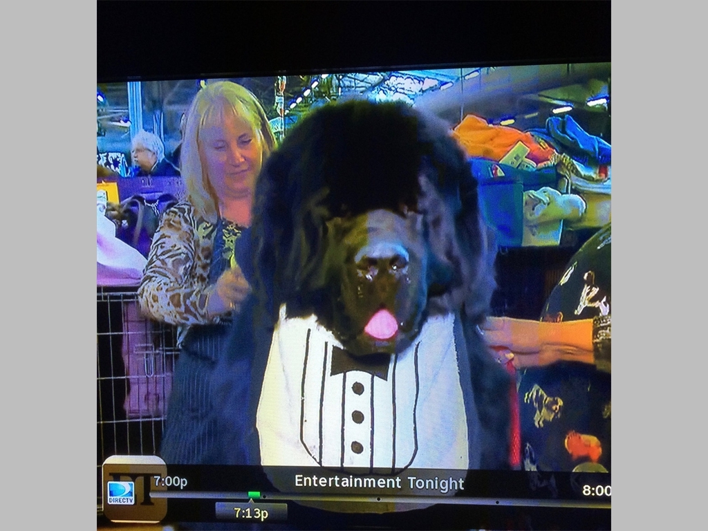 I was on Entertainment Tonight! Everybody saw me on TV!
